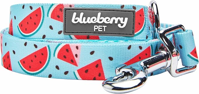 Blueberry Pet Summer Sparkle Dog Leash, Small Size, 5 ft x 5/8", Blue, Zesty Fruit Watermelon Print Pet Leash