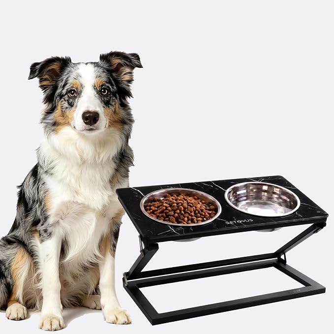 Elevated Dog Bowl Set: Height-Adjustable Stand with 2 Stainless Steel Food Bowls and a 20° Tilted Water Bowl—Suitable for Small, Medium, and Large Dogs (Faux Black Marble, Medium)