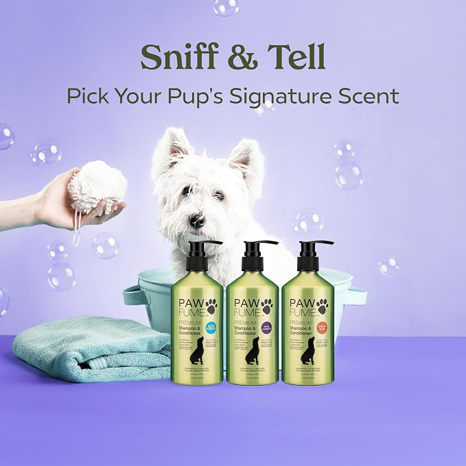 PAWFUME Dog Shedding Shampoo and Conditioner, Royal Lavender, 1-Pack | Probiotic pH-balanced deep-cleaning formula nourishes and detangles silky coats, salon-quality Shedding Shampoo for Dogs
