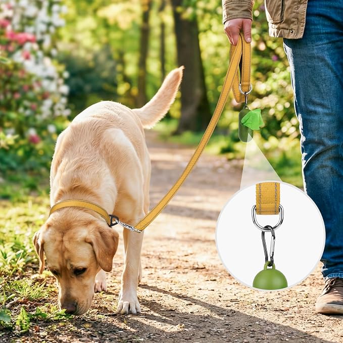 Joytale Reflective Dog Leash for Medium & Large Dogs, 6 FT x 1", Khaki | Heavy Duty Nylon Webbing, Padded Handle for Comfort, Visible at Night, for Walking & Training