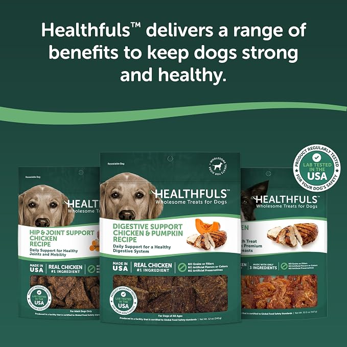HEALTHFULS Healthfuls Digestive - Chicken & Pumpkin Recipe