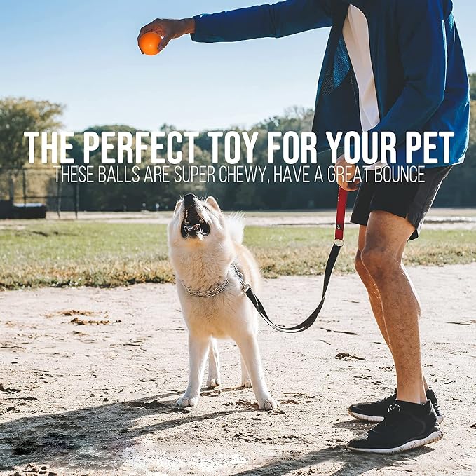 KAIKER Dog Balls Indestructible, Solid Rubber Bouncy, Large Breed