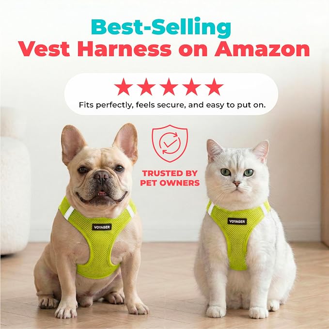 Best Pet Supplies Voyager Step-in Air Harness - All Weather Mesh, Reflective, No Pull Harness for Dogs, Cats - Secure with Hook & Loop Fastener, Buckle, Double D-Rings - Lime Green, XS