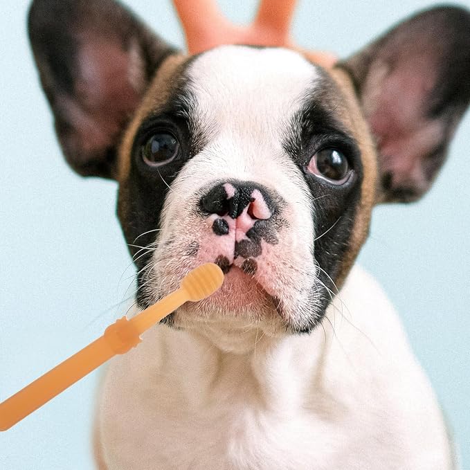 POPETPOP 1 Set Pet Toothbrush Puppy Toothbrushes Toothbrush for Dogs Single-Head Brush Dog Tooth Brush Handheld Pets Toothbrush Single-Head Dog Toothbrush pet Supplies