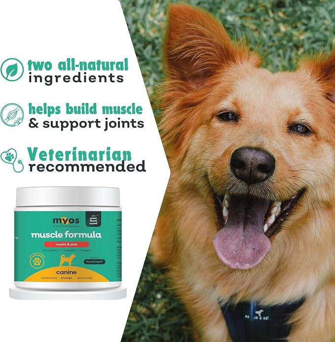 MYOS Muscle & Joint Dog Supplement - Dog Hip and Joint Supplement - 198g