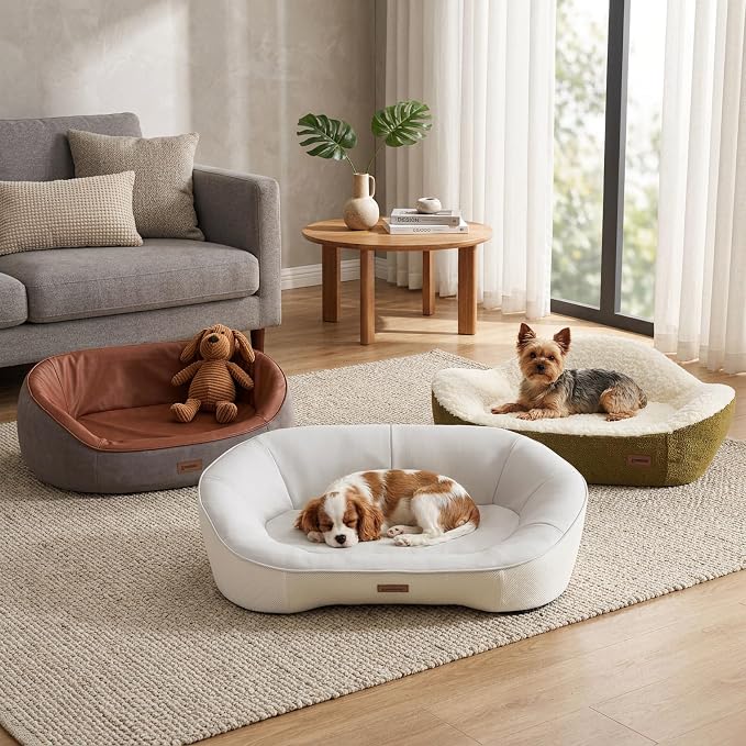 ZOMISIA Orthopedic Memory Foam Dog Sofa Bed - Small &amp; Medium (up to 60 lbs), 2 Covers