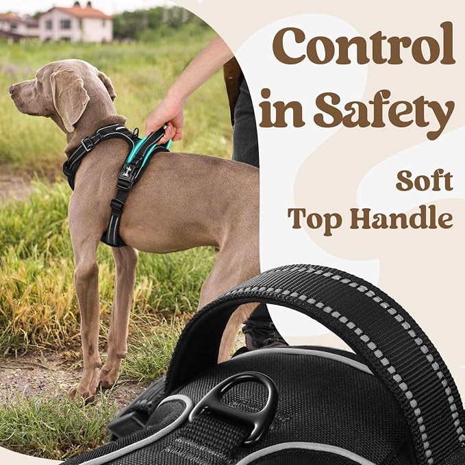 rabbitgoo Dog Harness for Large, Updated Easy On & Off with 3 Buckles | No Pull No Choke, Walking with 2 Clips and Handle, Adjustable Soft Reflective, Black, Large
