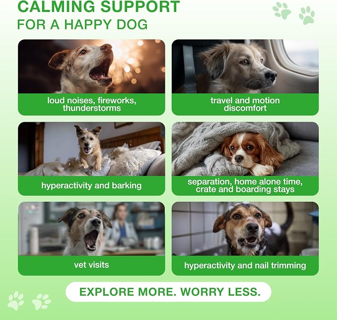 Calming Chews for Dogs, Valerian, Chamomile