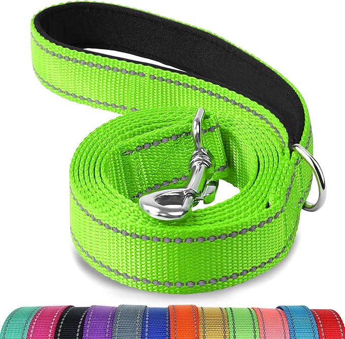 Joytale Reflective Dog Leash for Small Dogs, 5 FT x 3/4", Green | Heavy Duty Nylon Webbing, Padded Handle for Comfort, Visible at Night, for Walking & Training