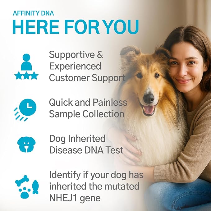 Dog Collie Eye Anomaly (CEA/CH) DNA Test