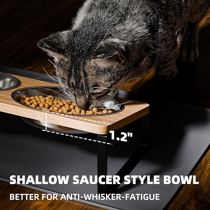 Elevated Whisker Friendly Cat Bowls, 15 Tilted Stand Anti Vomiting Raised Dishes for Food and Water, Stainless Steel Bowls for Cats and Puppy