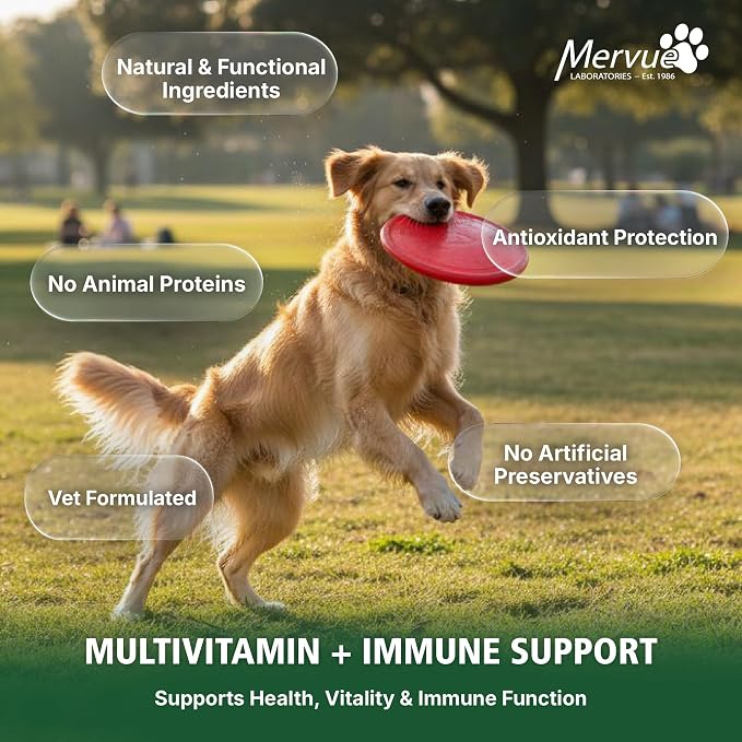 Mervue Multivitamin + Immune Support for Dogs (28 Day Supply) | Pre-Measured Small Dog Vitamins in Gel Packets – Multivitamin for Dogs w/Beta-Glucans & Vitamin C for Energy & Healthy Coat