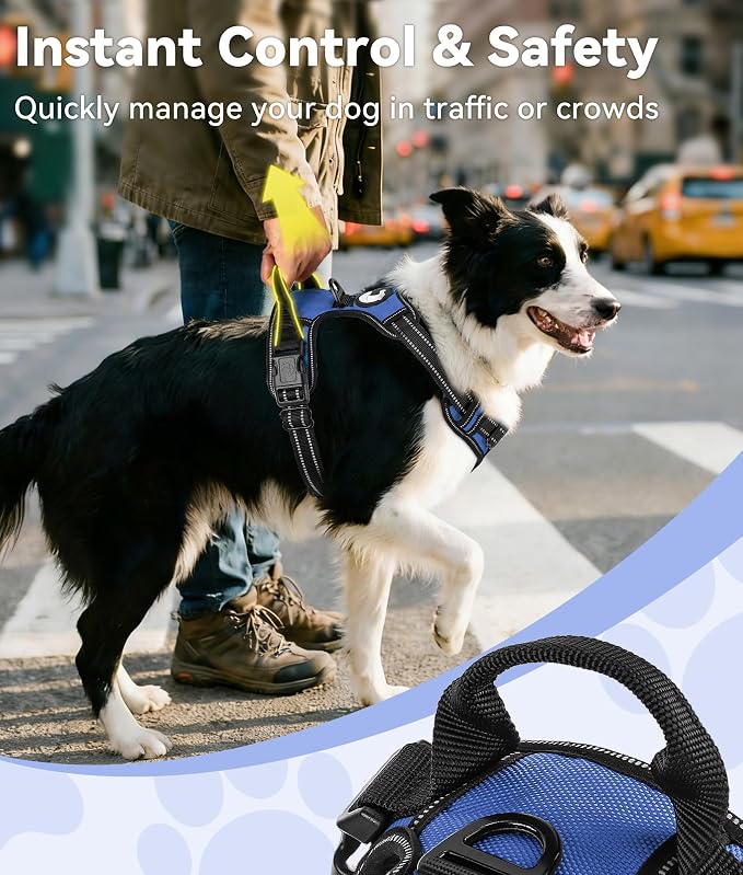 Joytale No Pull Dog Harness for Small Dogs, Front Clip, Navy Blue | Grab Handle for Instant Control, Padded & Adjustable Vest, Sturdy Metal D-Rings, for Safe Training & Daily Walking