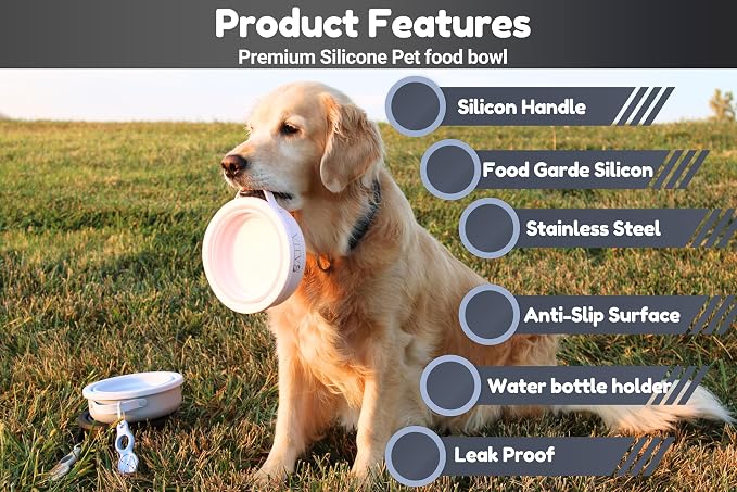 3-in-1 Travel Dog & Cat Bowl, Stainless Steel & Silicone