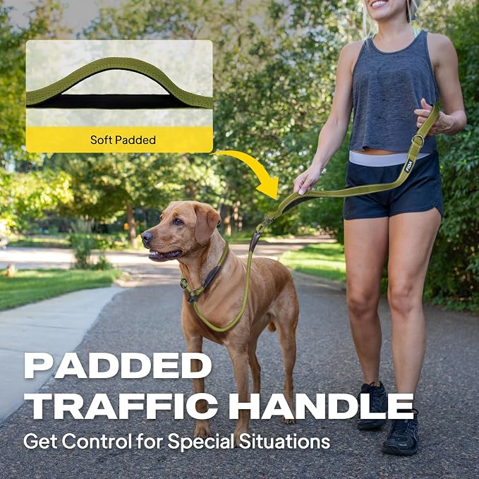 Fida 2-in-1 Slip Lead Dog Leash with 2 Handles, 6FT Training Leash, Green | No Collar Needed, Tangle Free, Soft Padded Handles, Traffic Control,Reflective Heavy Duty No Pull Leash for Medium-Large Dogs