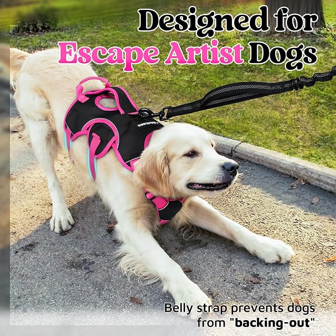 rabbitgoo Escape Proof Dog Harness for X-Large, No Pull with Lift Handle | No Escape, Full Soft Padded, Reflective Adjustable Vest, Leash Clip for Walking Hiking Training, Rose & Black, X-Large