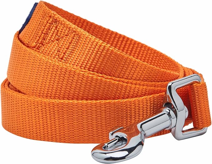 Blueberry Pet Essentials Orange Vermilion Dog Leash for Medium - Large - 4' * 1" Dogs | Heavy Duty Nylon Lead | Lightweight Puppy & Cat Leash for Walking & Training