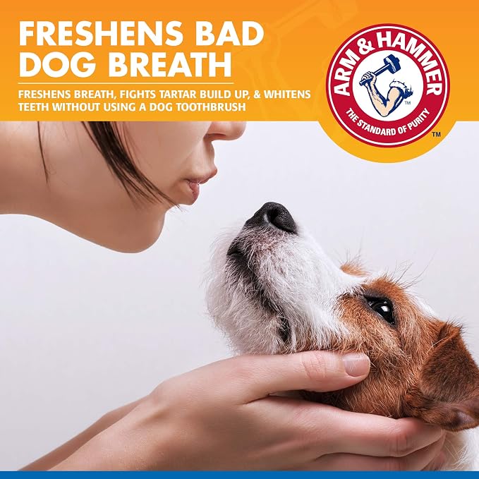 Arm & Hammer Tartar Control Dental Spray for Dogs, Mint, 4 Fl Oz | Brushless breath freshener with baking soda helps reduce plaque and tartar buildup
