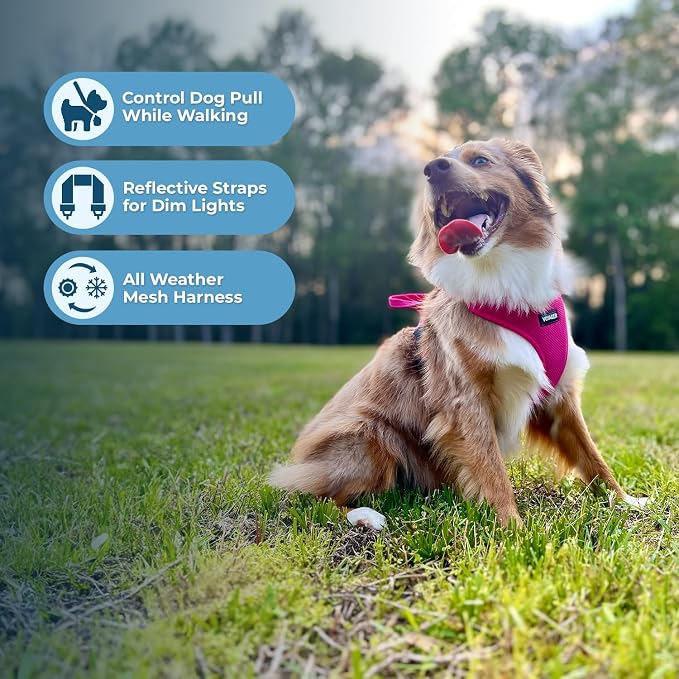Air Frontier Mesh Dog Harness with Steel Leash D-Ring, Reflective Stitching, and Lightweight Breathable No-Pull Design, Adjustable Neck and Chest Straps for Small to Large Breeds - FSW, S