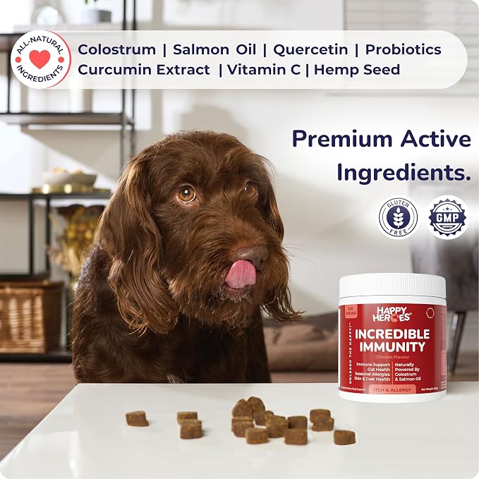 Incredible Immunity Supplement for Dog Allergy & Itch Relief