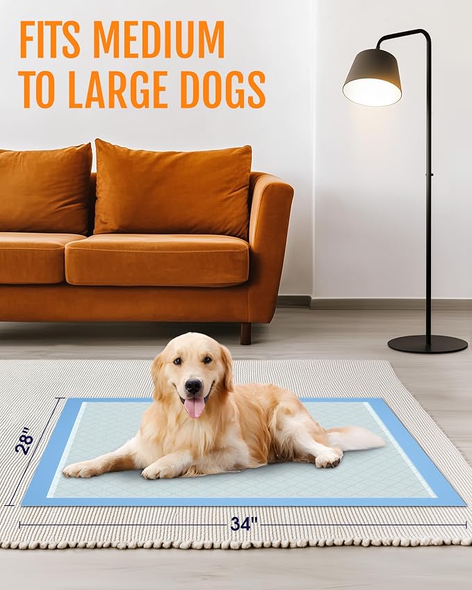 Powools Puppy Pads - 80 Packs, 34"×28" Ultra-Large Puppy Pads, Tear-ResistantPee Pads for Dogs, 6-Layer Ultra-Absorbent & Quick-Dry Blue Training Pads