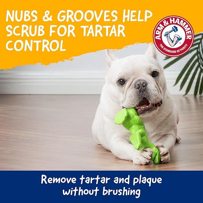 Arm & Hammer Nubbies T-Rex Dog Dental Chew Toy, Mint Flavor, 24-Pack | Nylon construction, baking soda infused, reduces plaque and tartar without brushing, moderate chewers