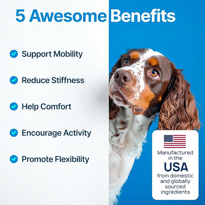 Hip and Joint Supplement for Dogs – Glucosamine for Dogs, Dog Joint Supplement, Mobility, Flexibility & Comfort, Chews with Glucosamine Chondroitin Msm & Omega3, 2 Pack,340 Chews,Made in USA