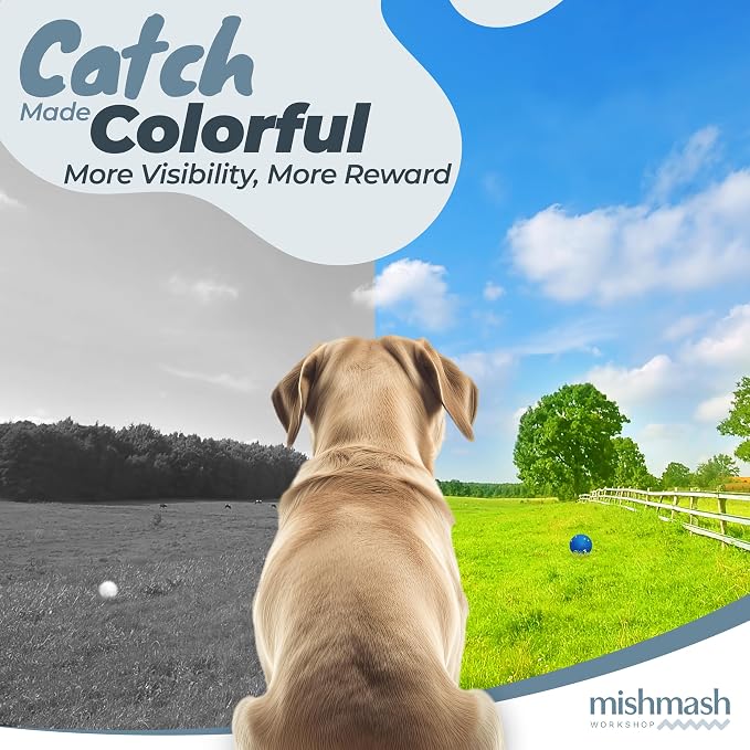 MISHMASH Vision Dog Ball Made with Premium Bite-Proof ETPU, Aggressive Chewers Waterproof Bouncy Interactive Dog Toy, Durable Tennis Ball for Medium to Large Breeds/Dogs/Puppies, (2 Pack)