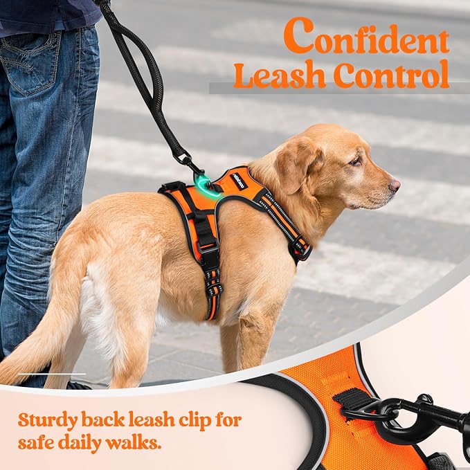 rabbitgoo Dog Harness, No Pull for Large Dogs with 2 Leash Clips, Pet Vest | No Choke with Handle, Adjustable Soft Padded, Reflective, Easy Control for Walking, Orange, Large