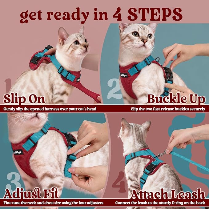 rabbitgoo Cat Harness and Leash Set, Escape Proof Vest, Red & Teal | Soft Breathable Mesh, Easy Adjustable Fit, Snap Buckles, Sturdy Clip, Reflective Strips, for Average Cats Walks, S