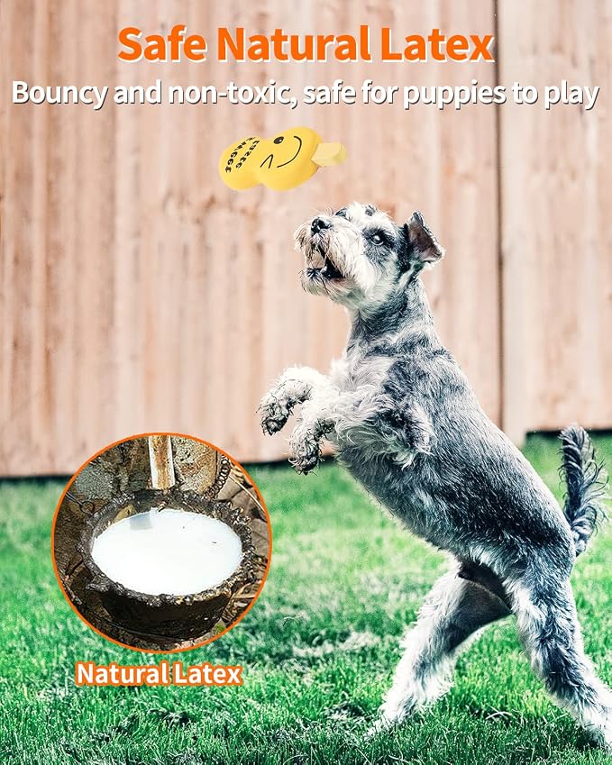 SCHITEC Squeaky Puppy Toys, 4 Pack Latex Toy for Small Dogs Puppies | Mini Size, Ice Cream Shape, Soft Material, Built-in Squeaker, Lightweight Design