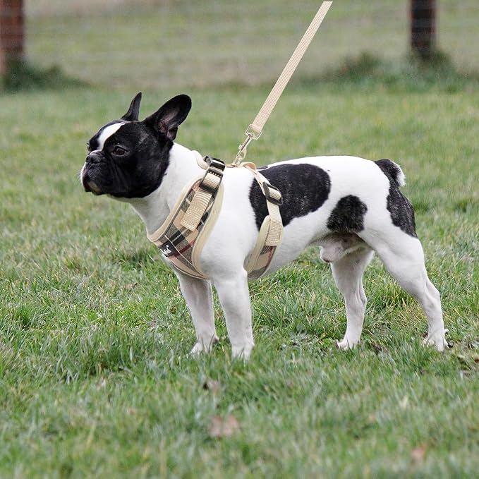 PUPTECK Soft Mesh Dog Harness and Leash Set Pet Puppy Cat Adjustable Reflective Padded Vest No Pull Harnesses, Beige, XS