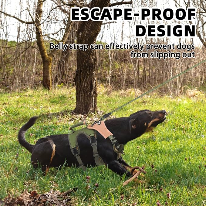 PUPTECK Escape Proof Dog Harness and Leash Set Upgraded No Pull Reflective Dog Vest with Lift Handle, Easy Control Pet Harness for Medium Large Dogs Training Walking Running, Green, M