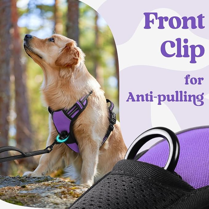 rabbitgoo Dog Harness Medium Sized, Updated Easy On & Off with 3 Buckles | No Pull No Choke, Walking with 2 Clips and Handle, Adjustable Soft Reflective, Purple, Medium