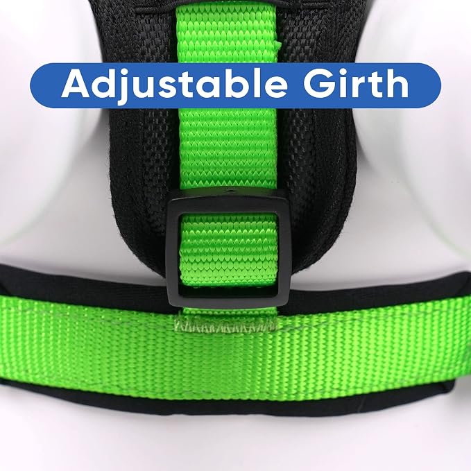 Pawtitas Reflective Padded Dog Harness for X-Small Dogs – Adjustable Puppy Step-in Vest | Fits Chest 14–18 in | No Pull Training Harness | XS | Green