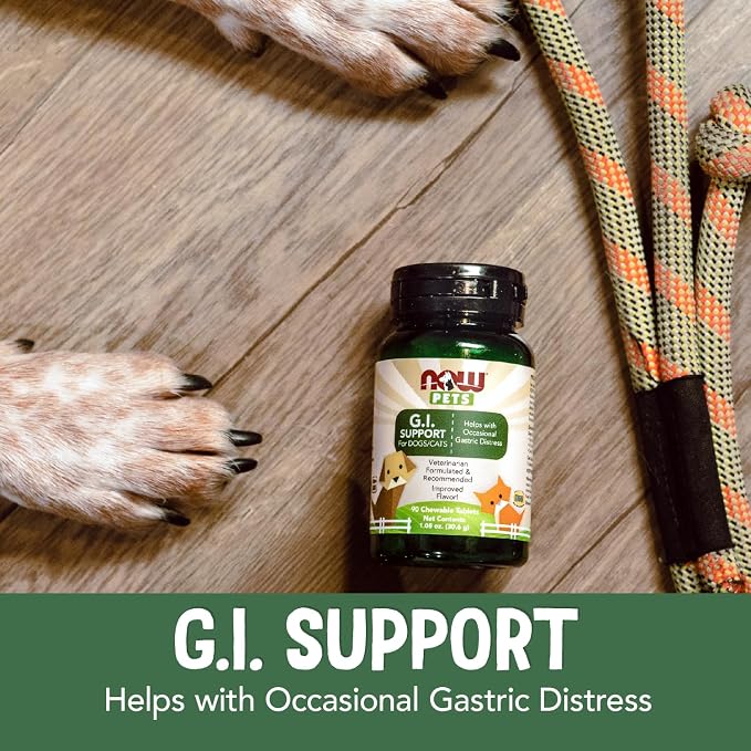 Now Pet Health, G.I. Support Supplement, Formulated for Cats & Dogs, NASC Certified, 90 Chewable Tablets (Pack of 12)