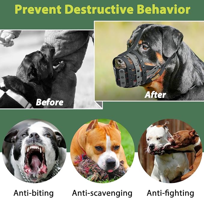 Pitbull Dog Muzzle for Large Medium Dogs Prevent Biting Scavenging | Fits Rottweiler Amstaff Broad-nosed Breed, Sturdy Breathable Basket, Training Walking Use, Allows to Drink | Black Grey, M