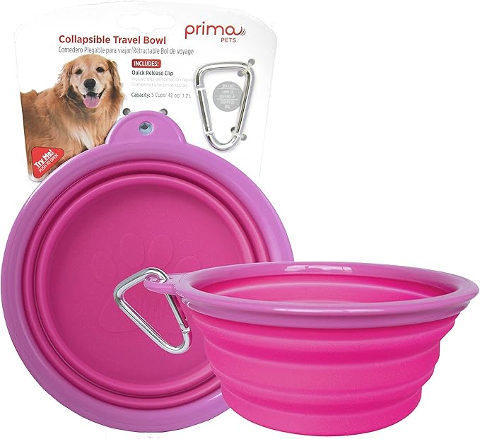 Collapsible Silicone Travel Dog & Cat Bowl with Carabiner, Large, Pink