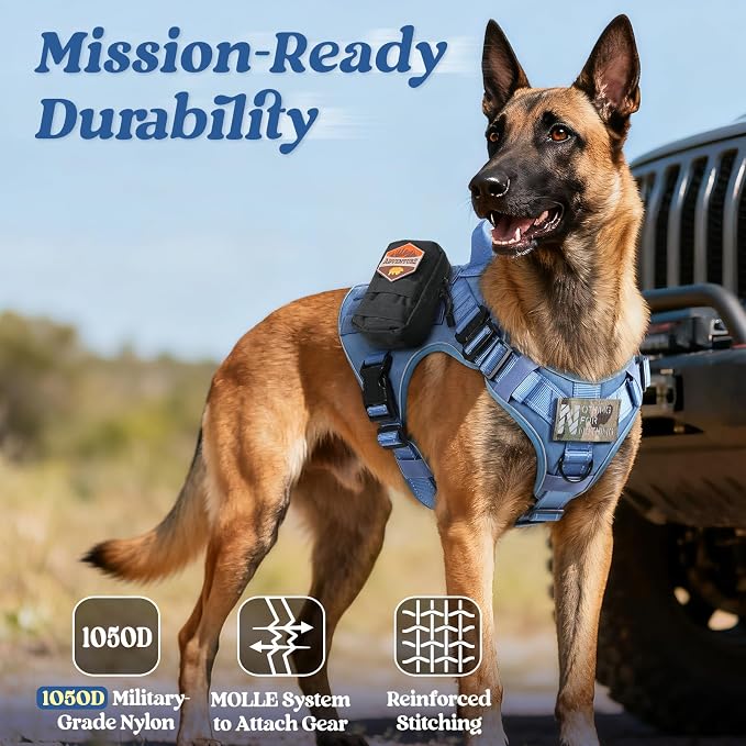 rabbitgoo Tactical Dog Harness for Large, Heavy Duty Military No Pull Vest | Sturdy Metal Buckles, 5 Adjustments, Molle System, Powerful Pullers for Training, Hunting, Outdoor, Blue Reflex, Large