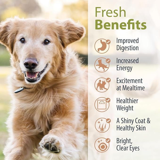 JustFoodForDogs Nutrient Blend Supplement - Turkey & Whole Wheat Macaroni, 4.55oz
