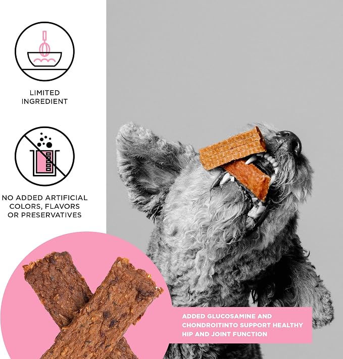 BIXBI Hip & Joint Support Salmon Jerky Dog Treats, 10 Oz - USA Made Grain Free Dog Treats - Glucosamine, Chondroitin for Dogs - High in Protein, Antioxidant Rich, Whole Food Nutrition, No Fillers