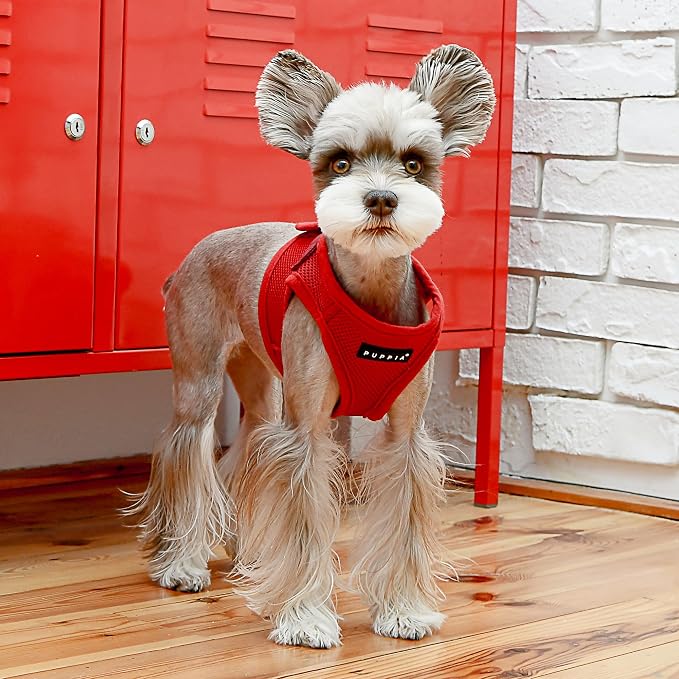 PUPPIA International PUAH305WNLG Soft Harness B Vest, Large