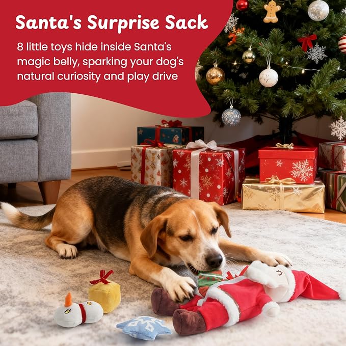 Nocciola Hide and Seek Christmas Santa Dog Toys: 9 Packs Vacation Gifts Funny Plush Stuffed Squeaky Crinkle Durable Chew Toys for Small Medium Large Breed, Dog Stocking Stuffers