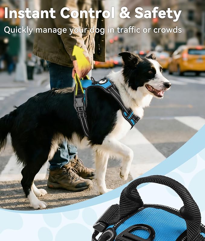 Joytale No Pull Dog Harness for Extra Large Dogs, Front Clip, Sky Blue | Grab Handle for Instant Control, Padded & Adjustable Vest, Sturdy Metal D-Rings, for Safe Training & Daily Walking