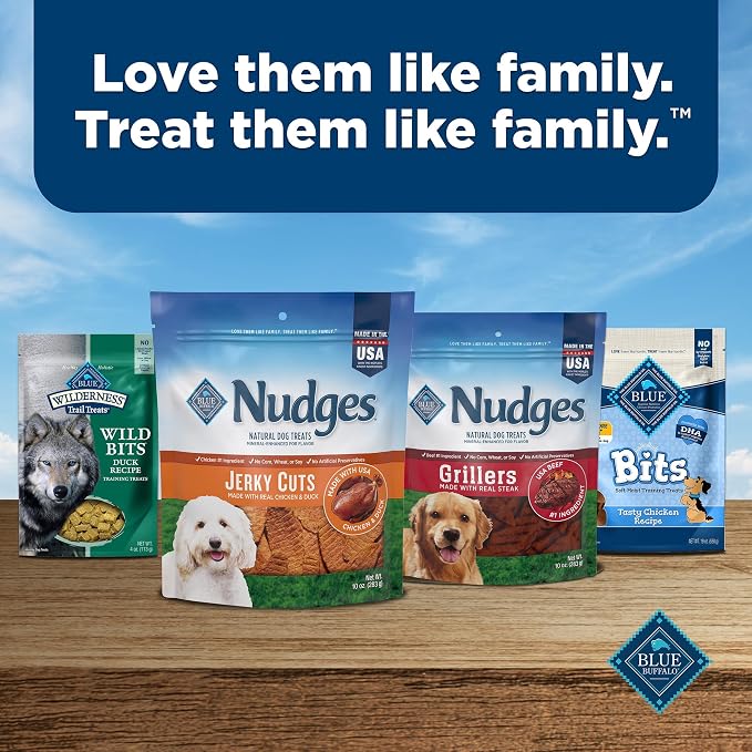 Blue Buffalo Nudges Jerky Cuts Dog Treats, Made in the USA with Natural Ingredients, Chicken & Duck, 16-oz Bag