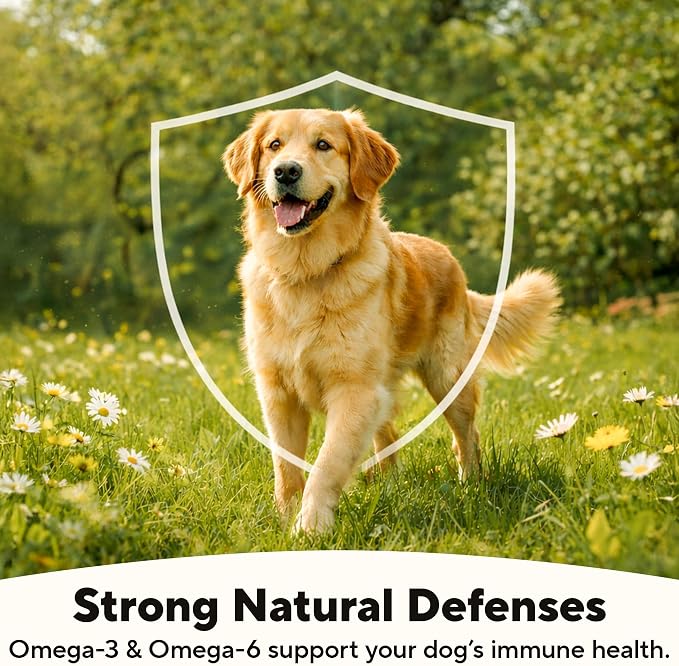 Dave's Pet Food Hip and Joint Support Dog Food, 13.2 oz, 12pk