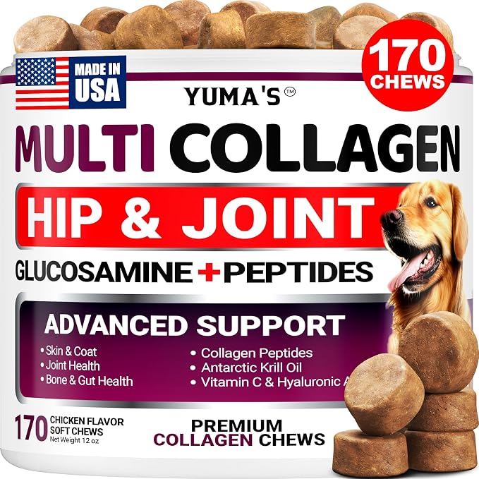 Advanced Collagen for Dogs - 170 Chews - Hip and Joint Supplement Peptides