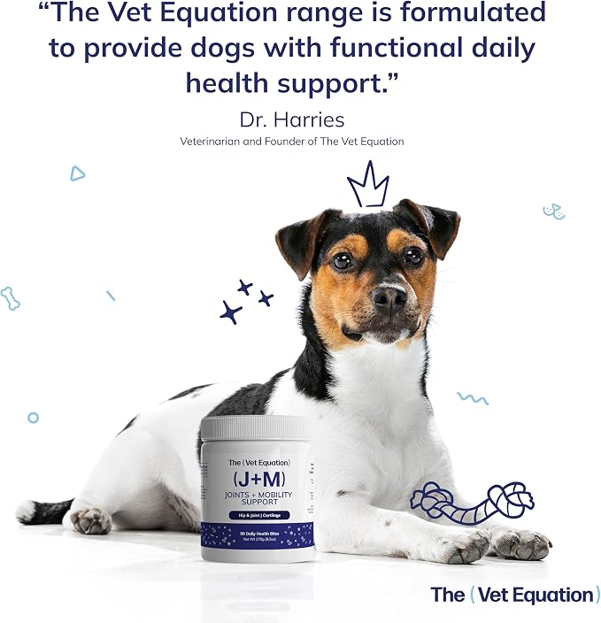 Joints & Mobility Support for Dogs – Duck-Flavored, 90 Chews – with Glucosamine, Chondroitin & Hyaluronic Acid – Supports Joint Health, Cartilage & Flexibility for Active Mobility