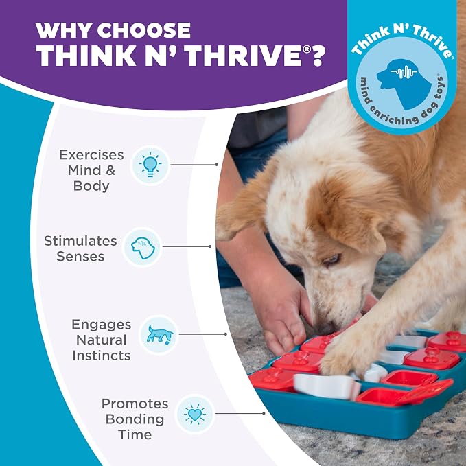 Outward Hound by Nina Ottosson Dog Brick – Interactive Treat Puzzle Enrichment Toy, Level 2 Intermediate, 1 Count (Pack of 12)