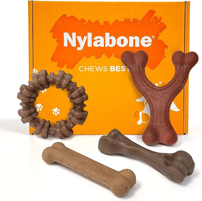 Nylabone Strong Chew Dog Toy 4-Pack, Durable Chew Toys, Small Dogs | Dog toys for aggressive chewers, made with real bacon, bison, venison, beef and chicken, for small breed dogs up to 25 lbs